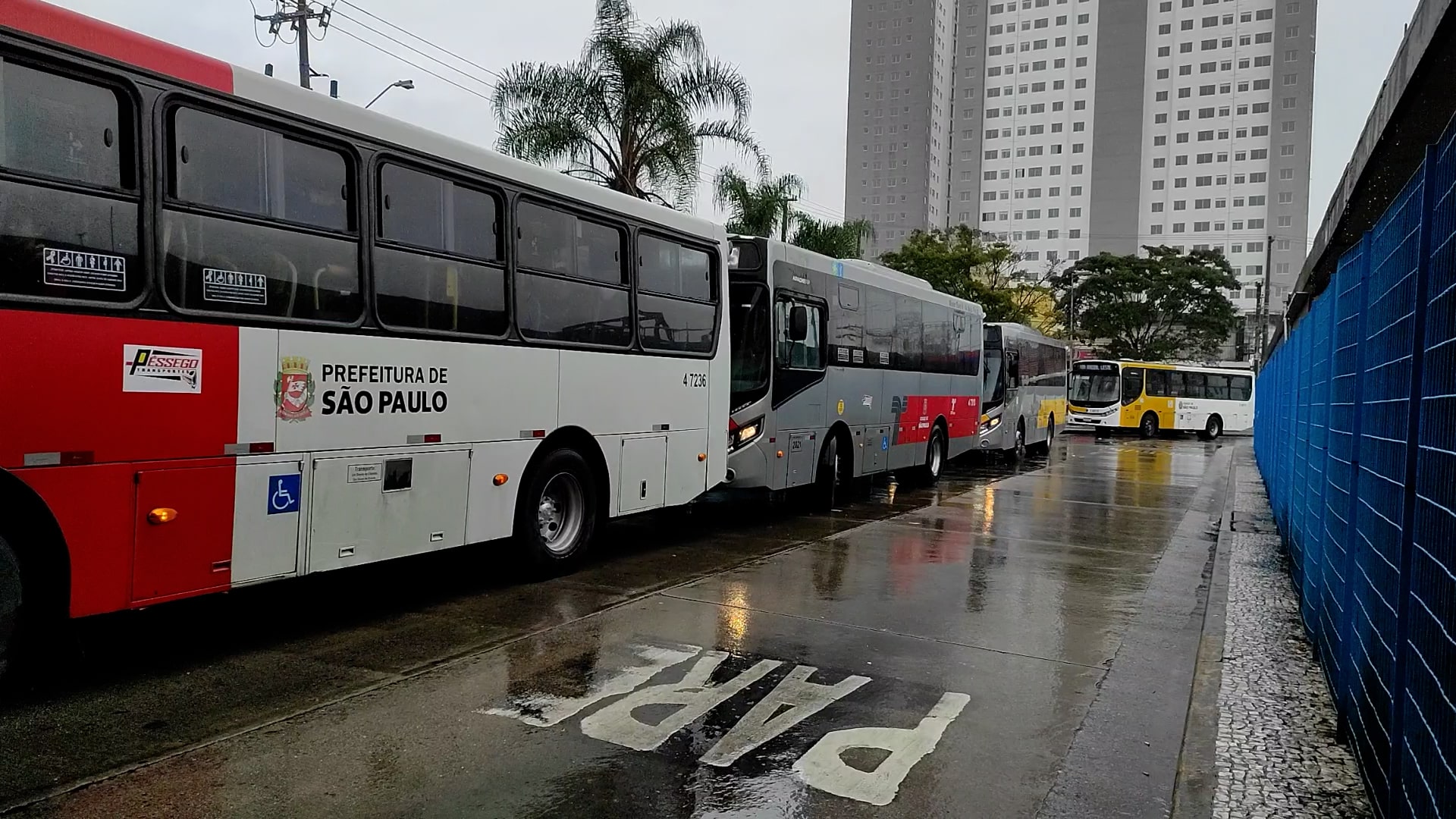 Idec lança campanha contra aumento na passagem de ônibus